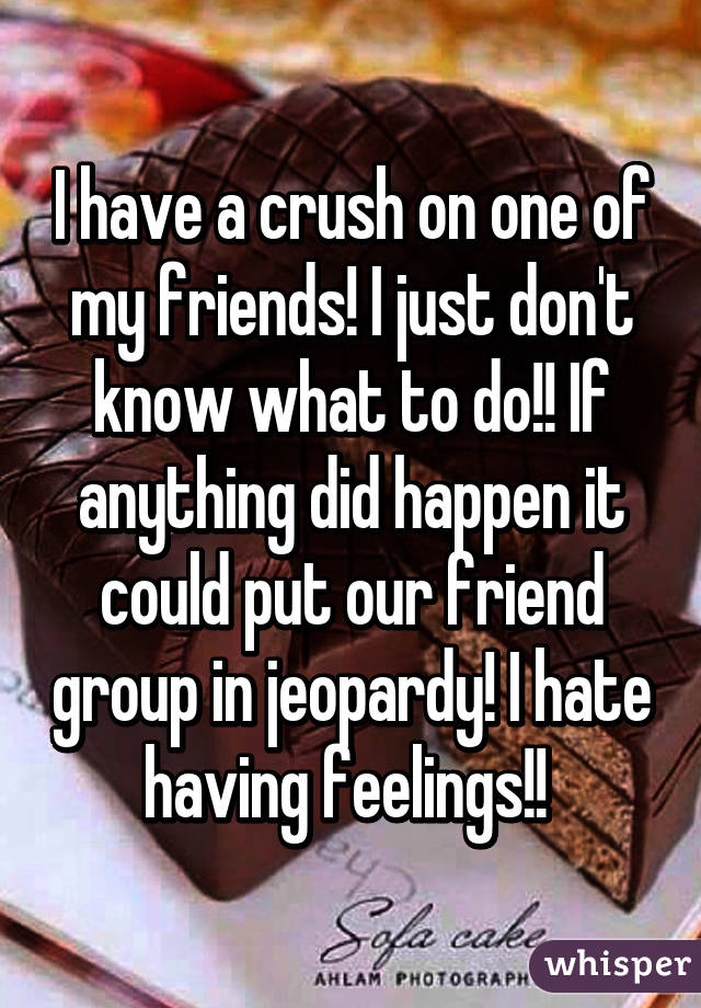 I have a crush on one of my friends! I just don't know what to do!! If anything did happen it could put our friend group in jeopardy! I hate having feelings!! 