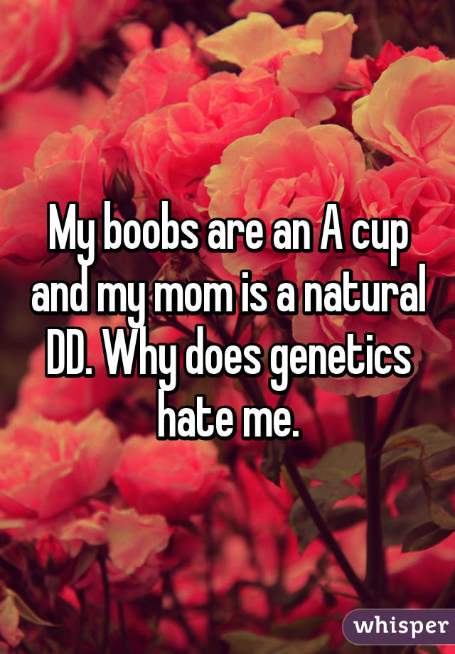 My boobs are an A cup and my mom is a natural DD. Why does genetics hate me.