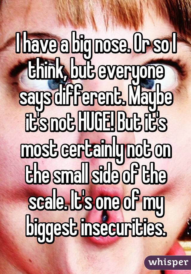 I have a big nose. Or so I think, but everyone says different. Maybe it's not HUGE! But it's most certainly not on the small side of the scale. It's one of my biggest insecurities.