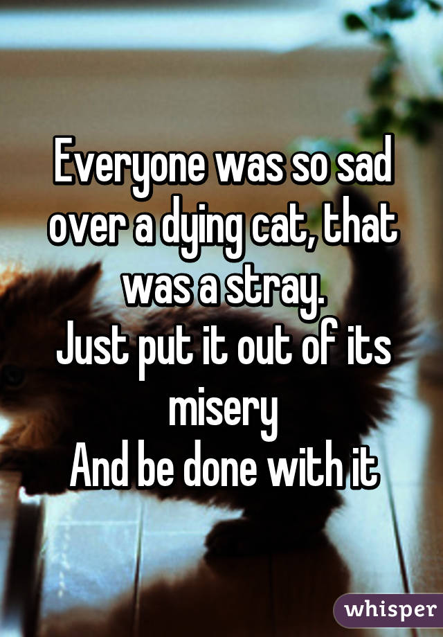 Everyone was so sad over a dying cat, that was a stray.
Just put it out of its misery
And be done with it