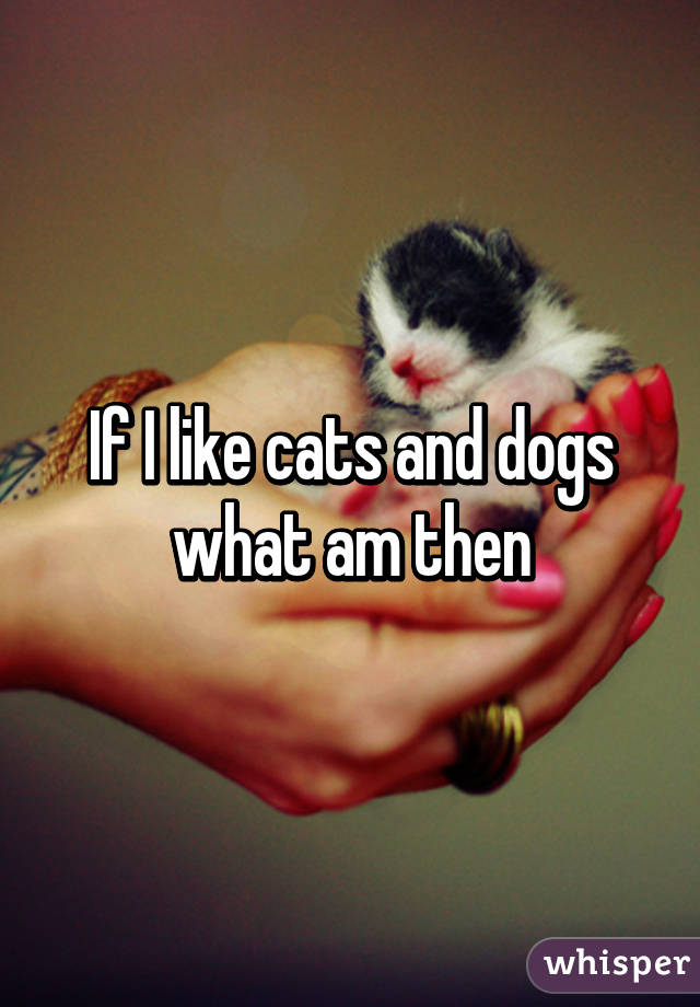 If I like cats and dogs what am then