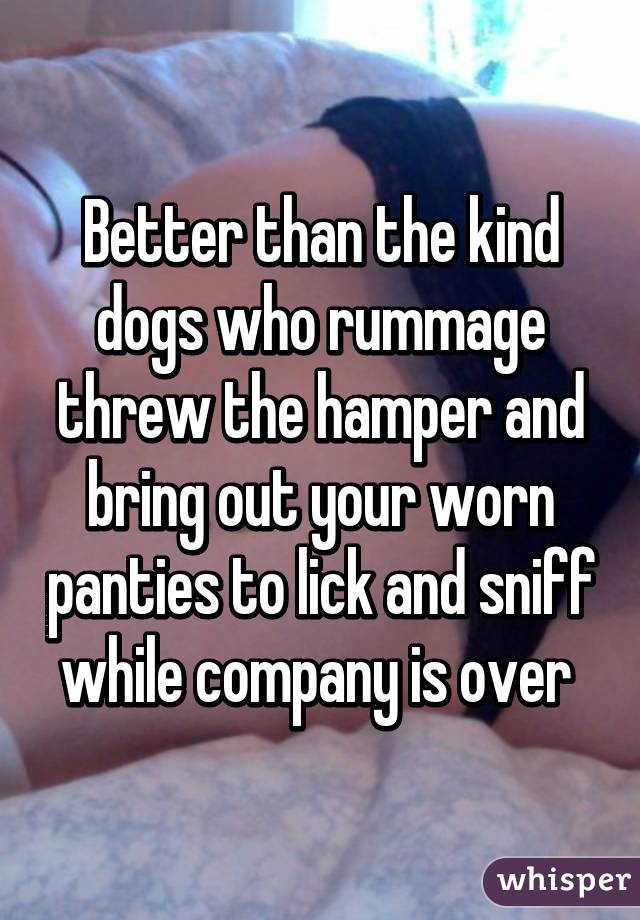 Better than the kind dogs who rummage threw the hamper and bring out your worn panties to lick and sniff while company is over 