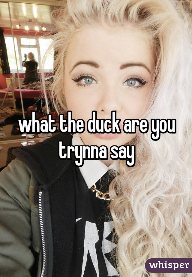 what the duck are you trynna say