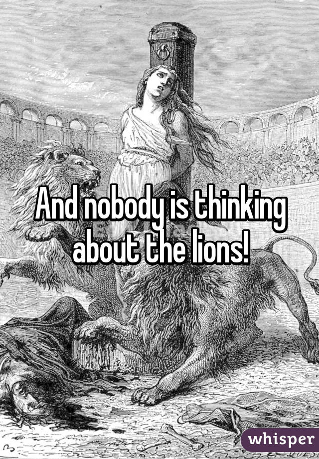 And nobody is thinking about the lions!