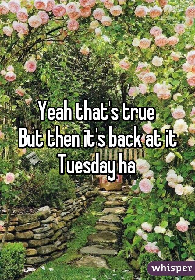 Yeah that's true 
But then it's back at it Tuesday ha 