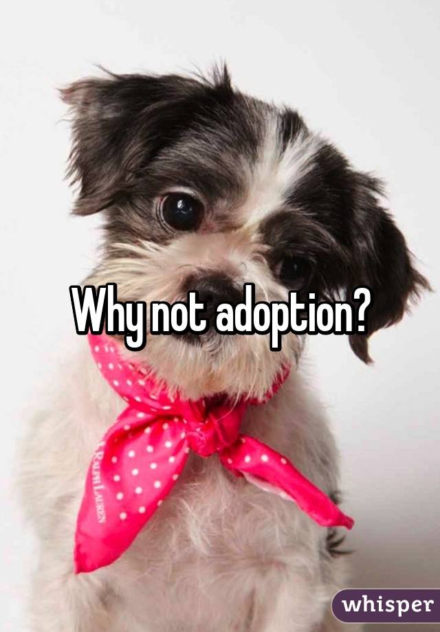 Why not adoption?