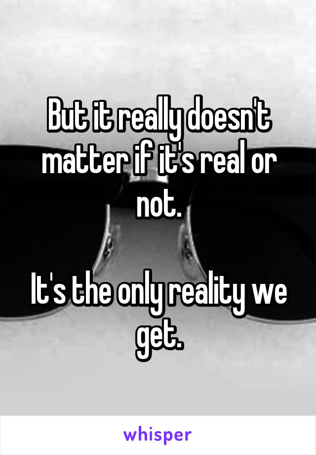 But it really doesn't matter if it's real or not.

It's the only reality we get.