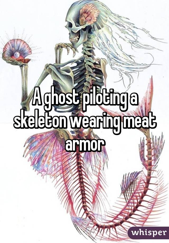 A ghost piloting a skeleton wearing meat armor