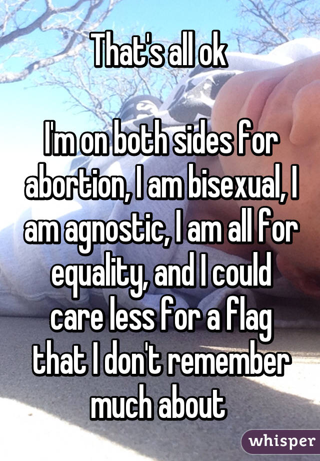 That's all ok 

I'm on both sides for abortion, I am bisexual, I am agnostic, I am all for equality, and I could care less for a flag that I don't remember much about 