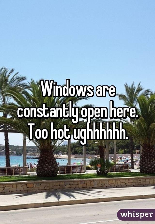 Windows are constantly open here. Too hot ughhhhhh.