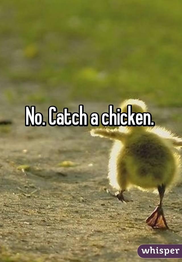 No. Catch a chicken. 
