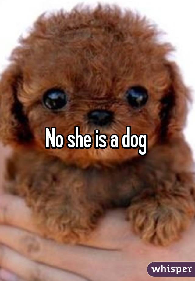 No she is a dog 