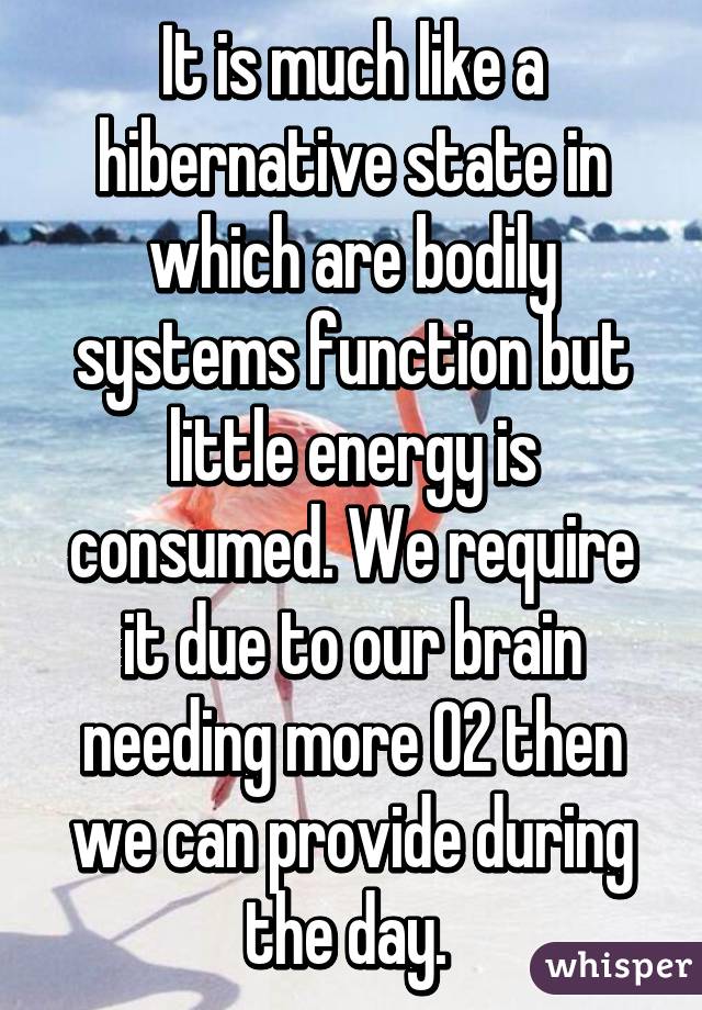 It is much like a hibernative state in which are bodily systems function but little energy is consumed. We require it due to our brain needing more O2 then we can provide during the day. 