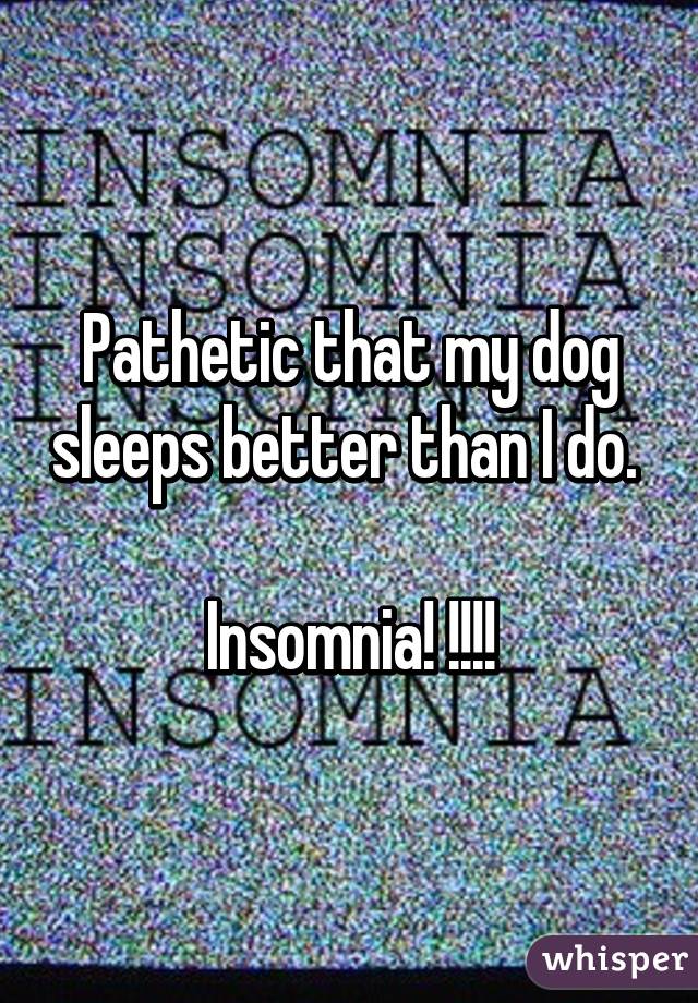 Pathetic that my dog sleeps better than I do.  
Insomnia! !!!!