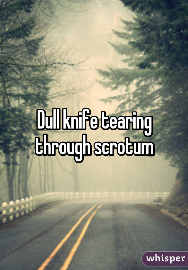 Dull knife tearing through scrotum
