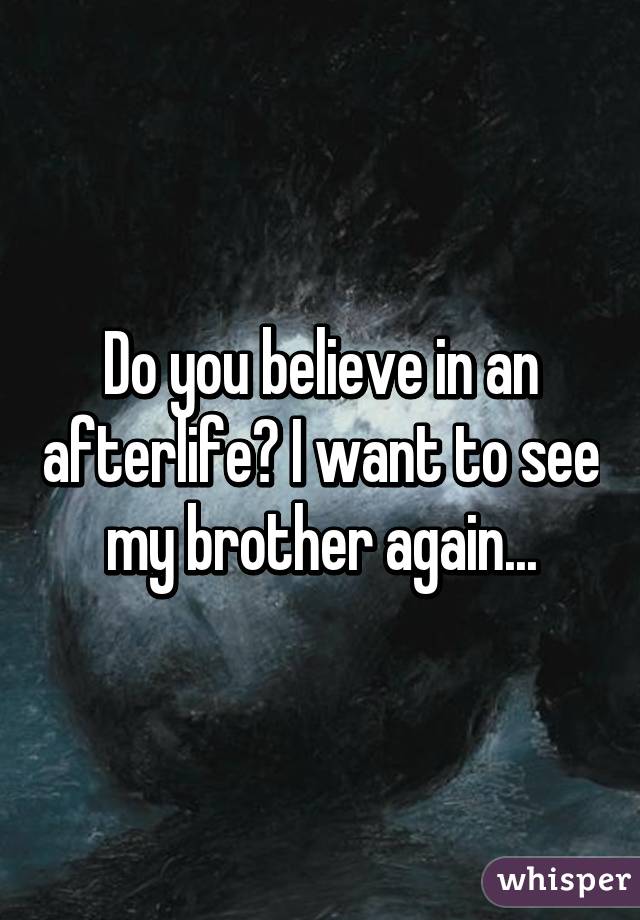 Do you believe in an afterlife? I want to see my brother again...