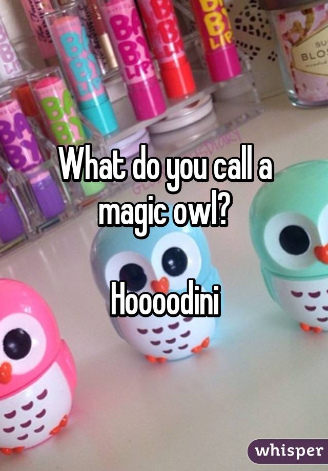 What do you call a magic owl?

Hoooodini