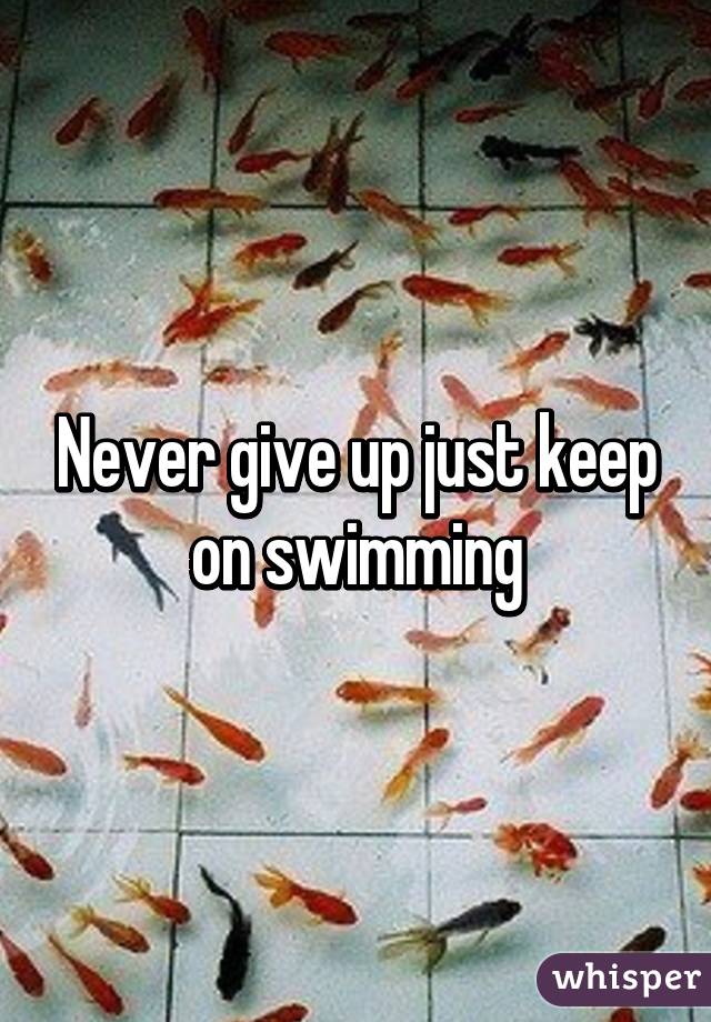 Never give up just keep on swimming