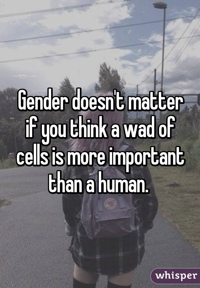 Gender doesn't matter if you think a wad of cells is more important than a human. 