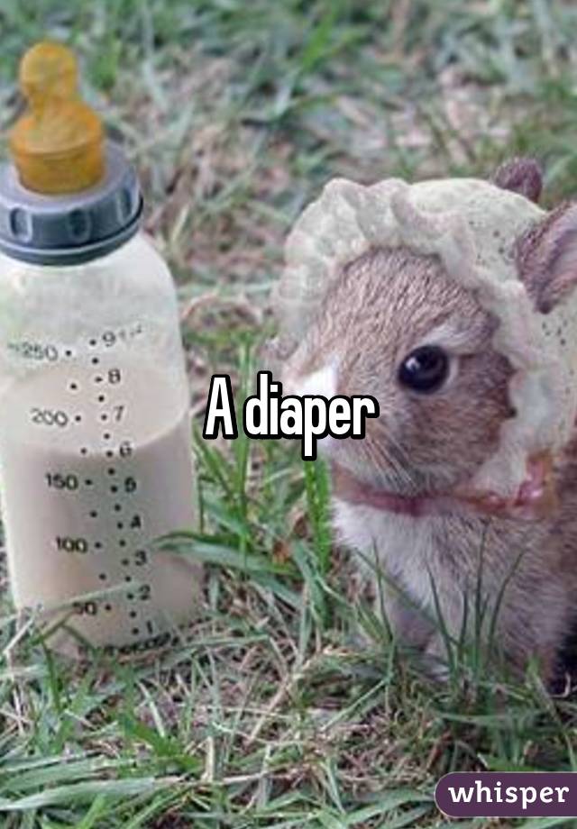 A diaper