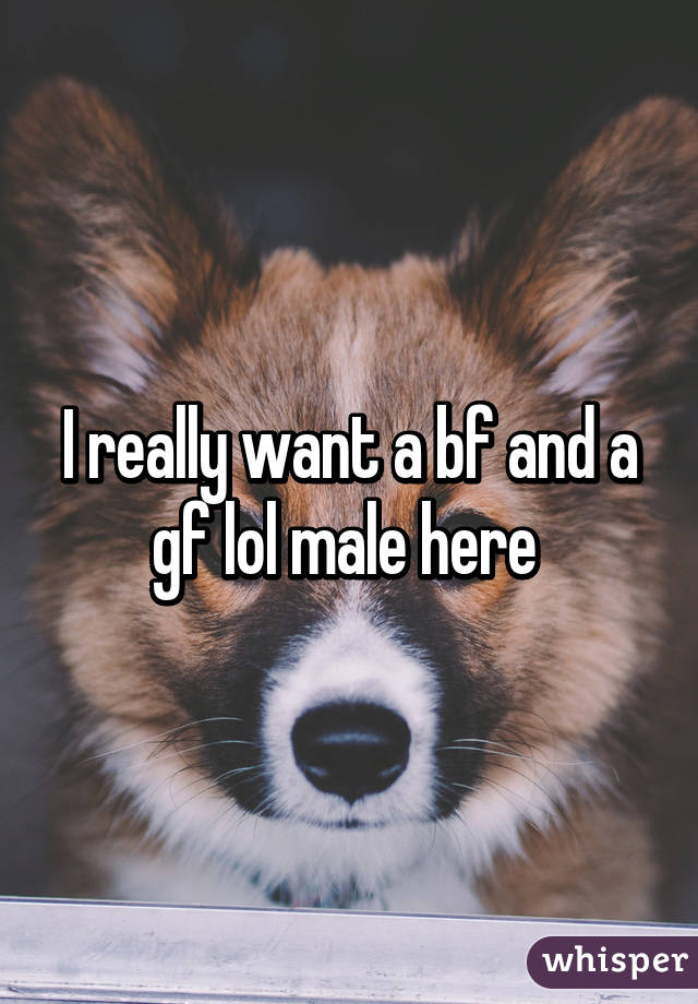 I really want a bf and a gf lol male here 