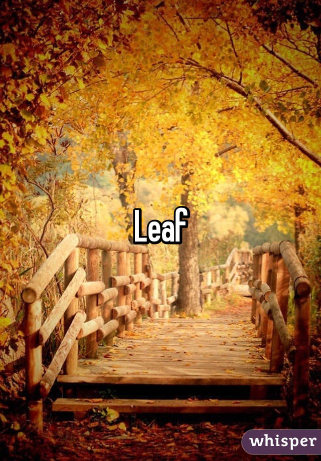 Leaf