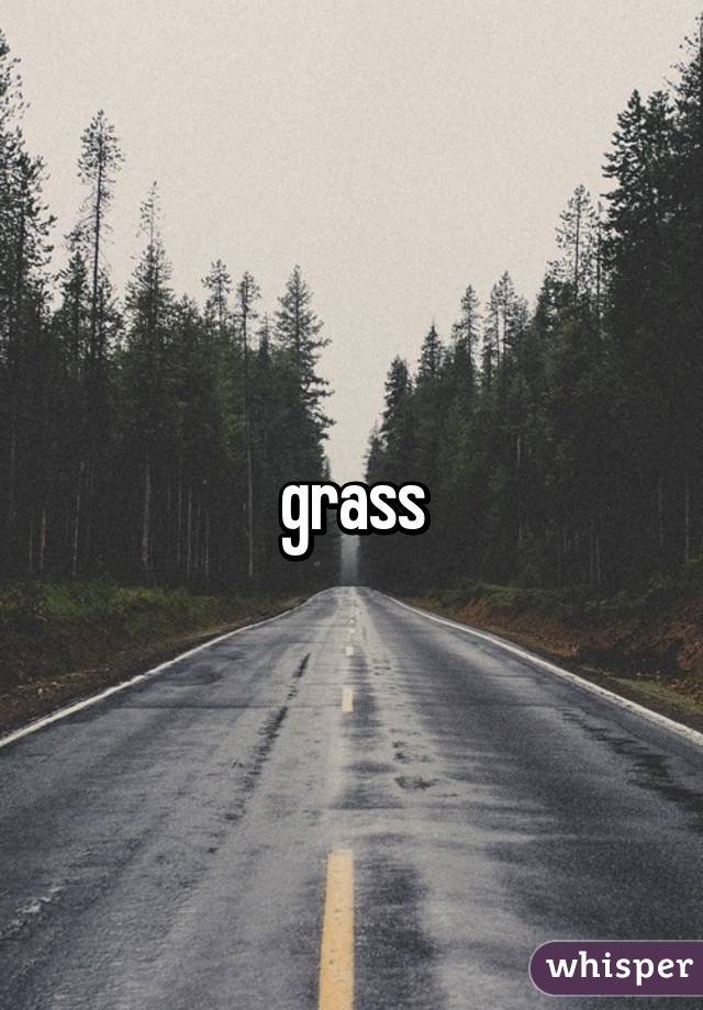 grass