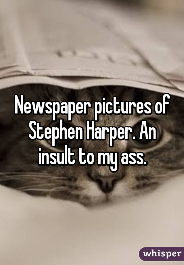 Newspaper pictures of Stephen Harper. An insult to my ass.