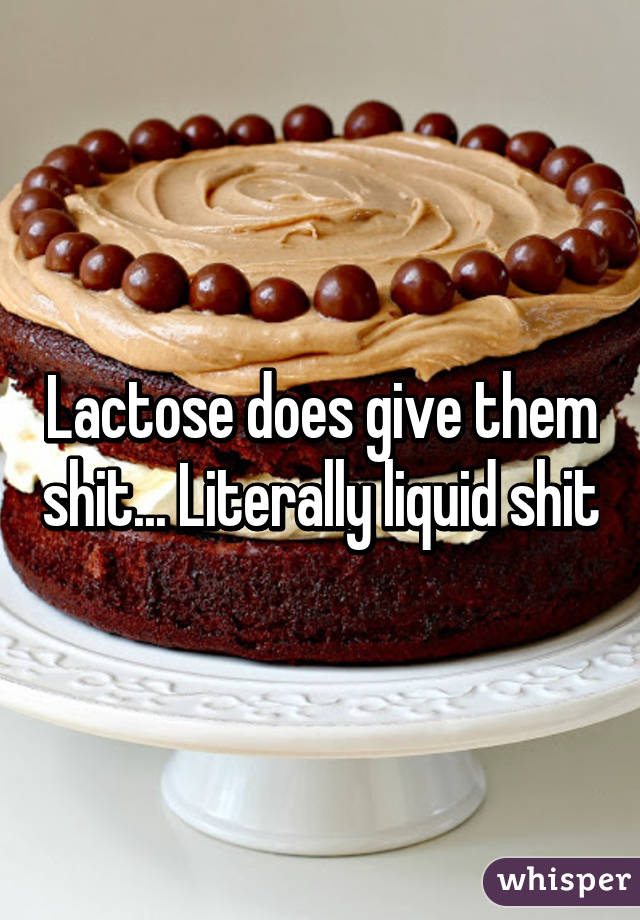 Lactose does give them shit... Literally liquid shit