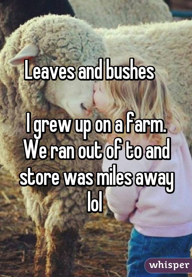 Leaves and bushes    

I grew up on a farm. We ran out of to and store was miles away lol 