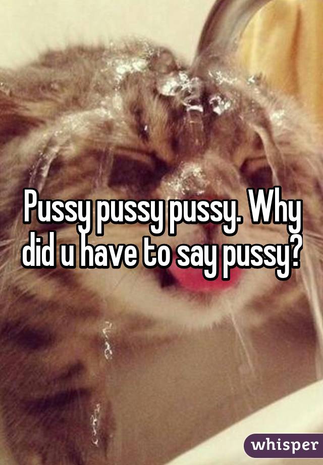 Pussy pussy pussy. Why did u have to say pussy?