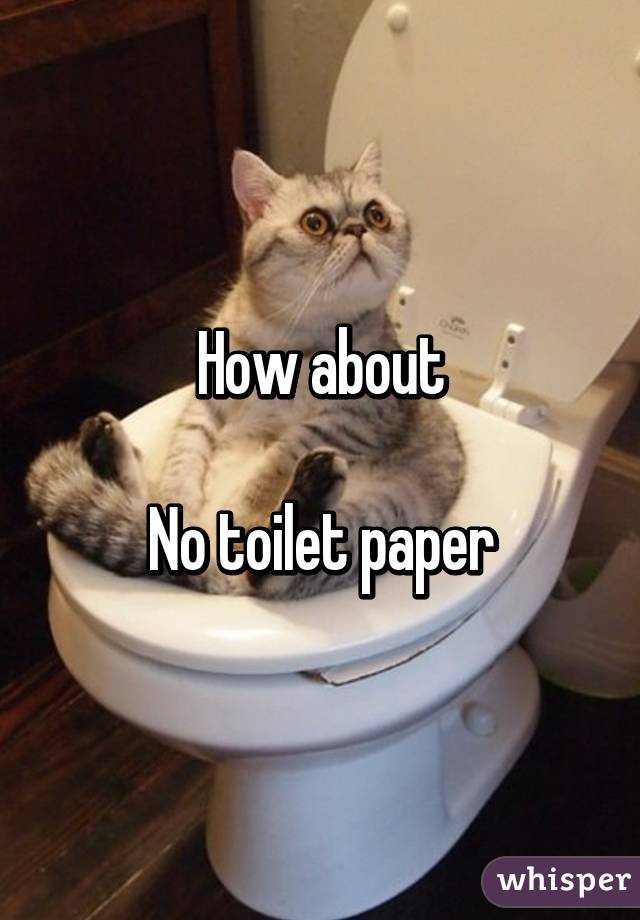 How about

No toilet paper