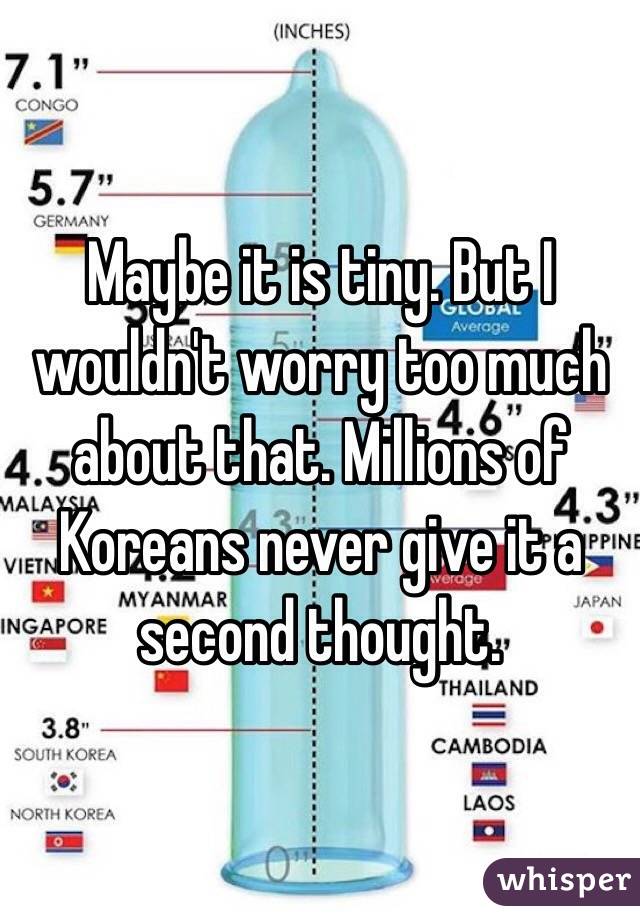 Maybe it is tiny. But I wouldn't worry too much about that. Millions of Koreans never give it a second thought. 