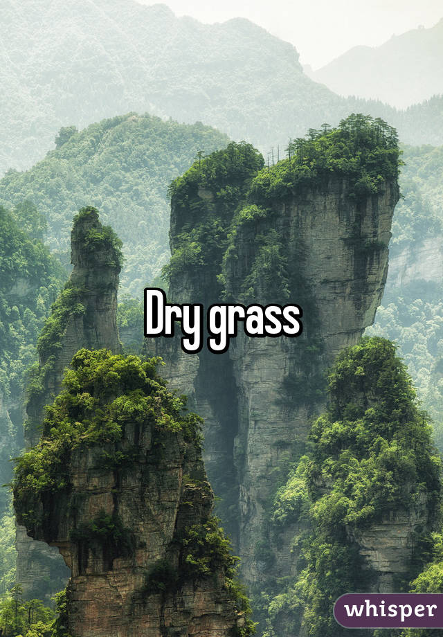 Dry grass