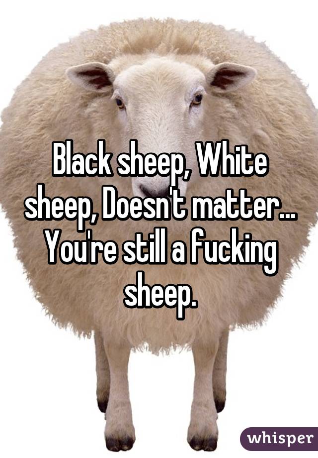 Black sheep, White sheep, Doesn't matter... You're still a fucking sheep.