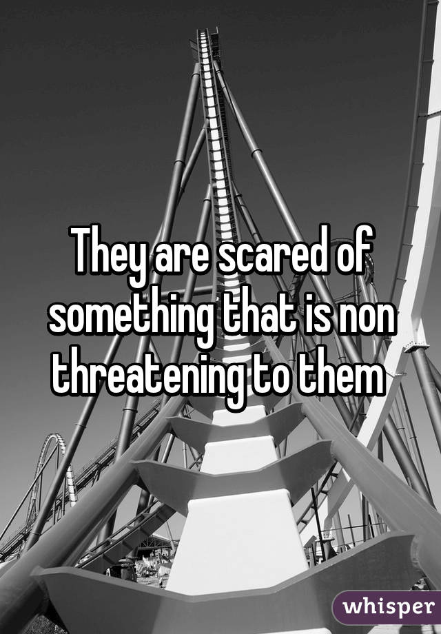 They are scared of something that is non threatening to them 
