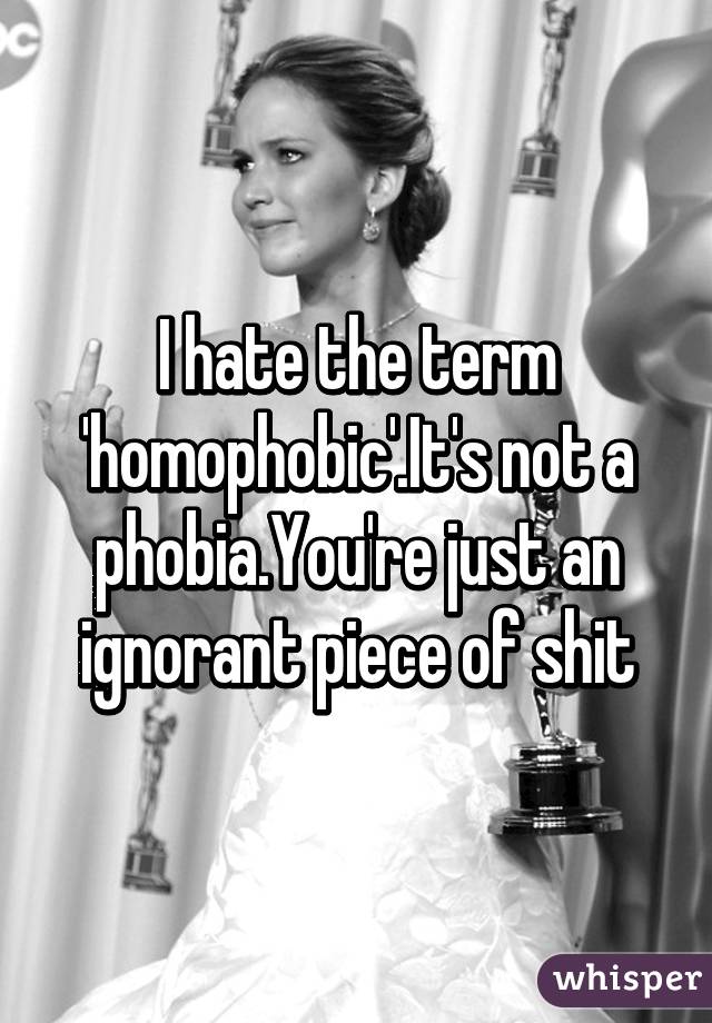 I hate the term 'homophobic'.It's not a phobia.You're just an ignorant piece of shit
