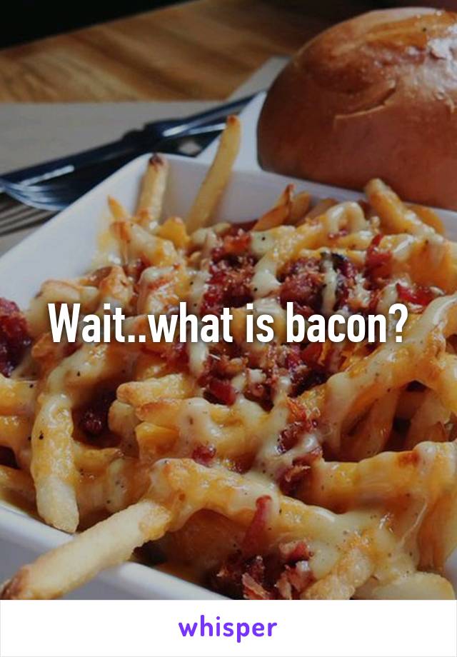 Wait..what is bacon?