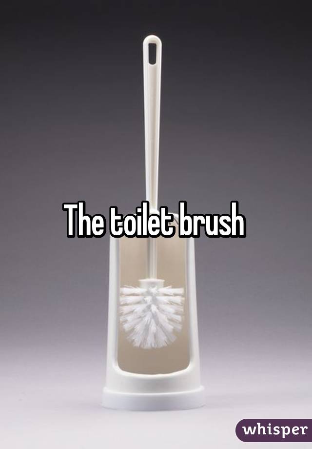 The toilet brush 