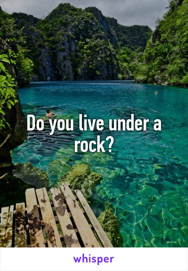 Do you live under a rock?