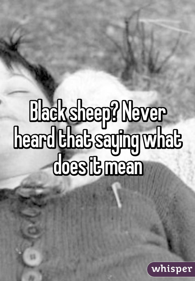 Black sheep? Never heard that saying what does it mean