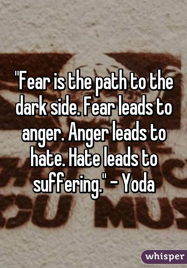 "Fear is the path to the dark side. Fear leads to anger. Anger leads to hate. Hate leads to suffering." - Yoda