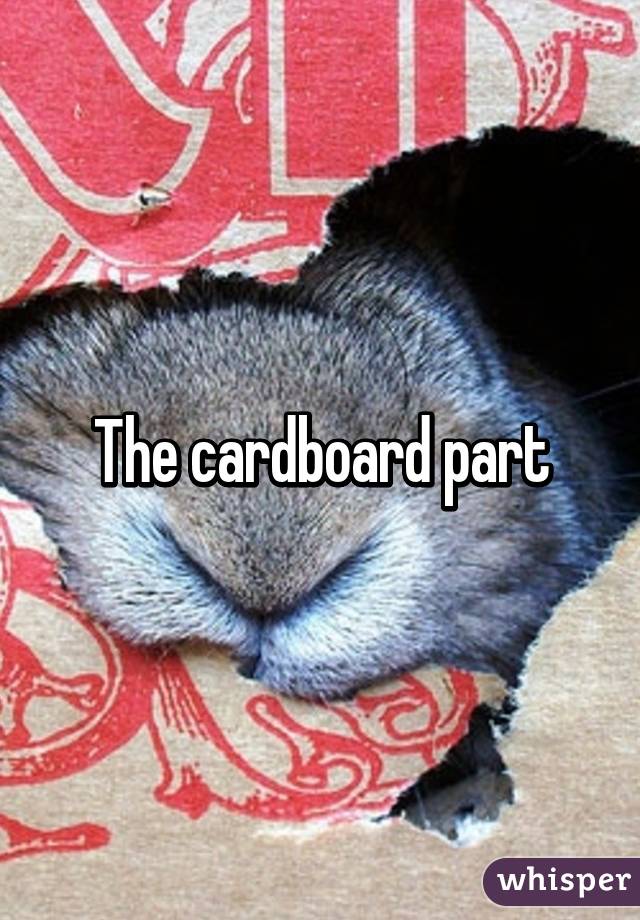 The cardboard part