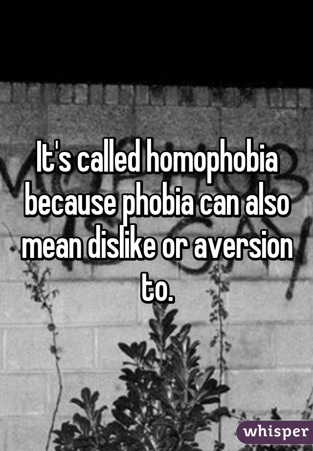 It's called homophobia because phobia can also mean dislike or aversion to.