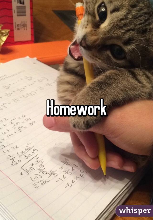 Homework