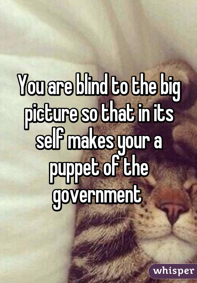 You are blind to the big picture so that in its self makes your a puppet of the government 