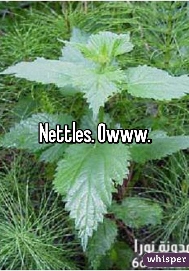 Nettles. Owww.