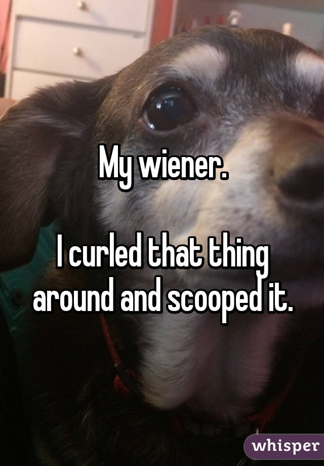 My wiener.

I curled that thing around and scooped it.