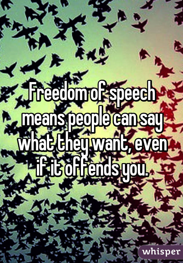 Freedom of speech means people can say what they want, even if it offends you.