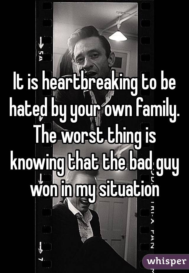 It is heartbreaking to be hated by your own family. The worst thing is knowing that the bad guy won in my situation 